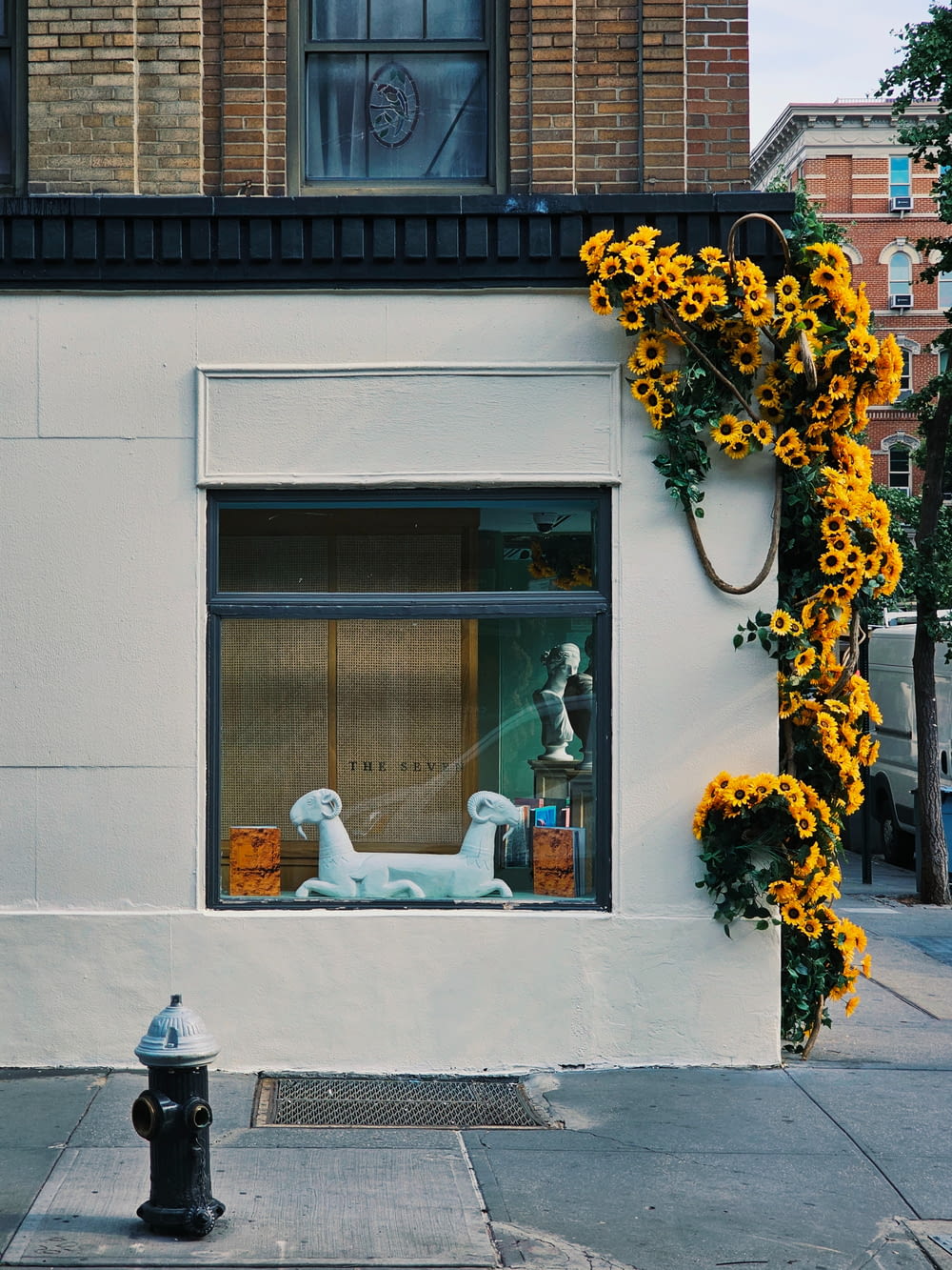 a storefront with sunflowers and a dog in the window