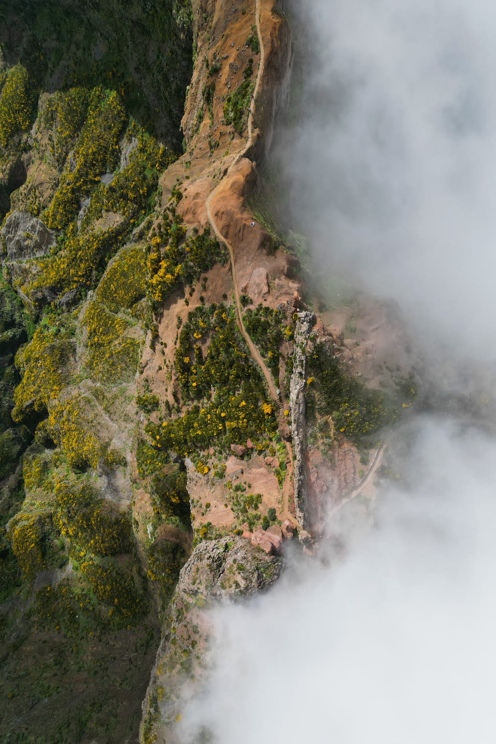 an aerial view of a mountain side with clouds and trees