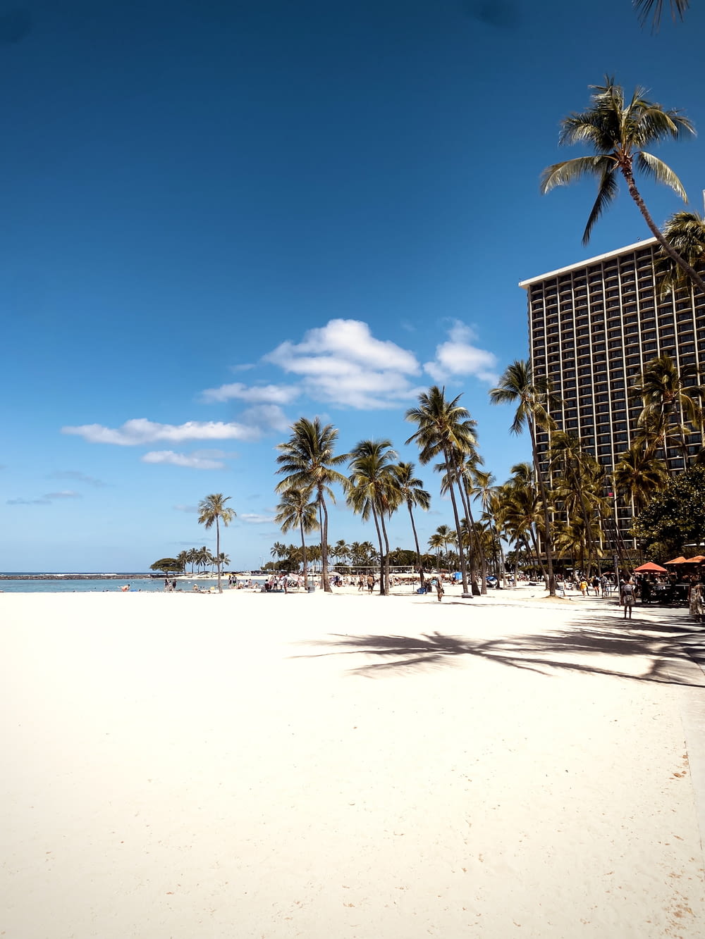 a beach with palm trees and a hotel in the background