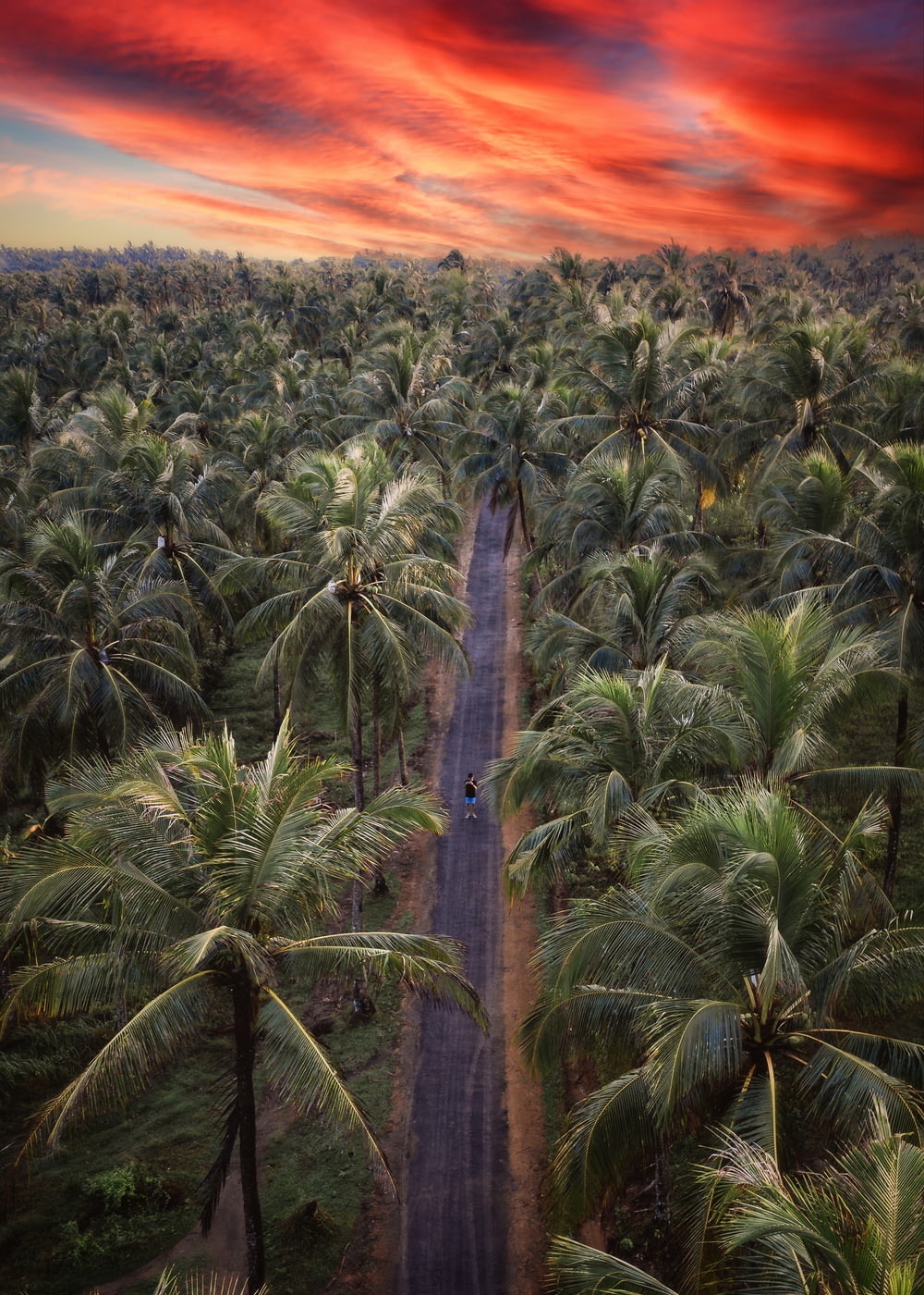an aerial view of a road surrounded by palm trees