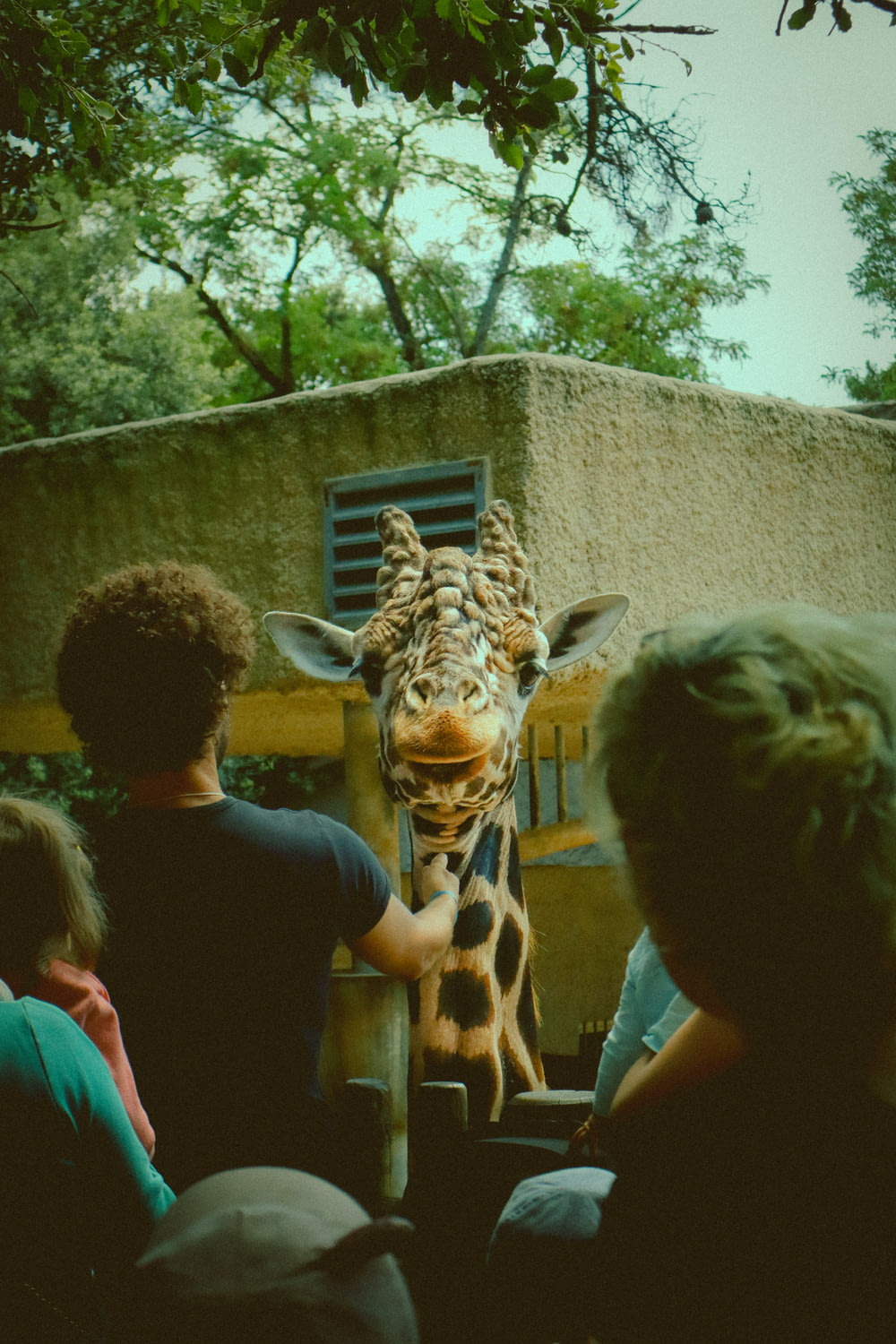 a group of people looking at a giraffe