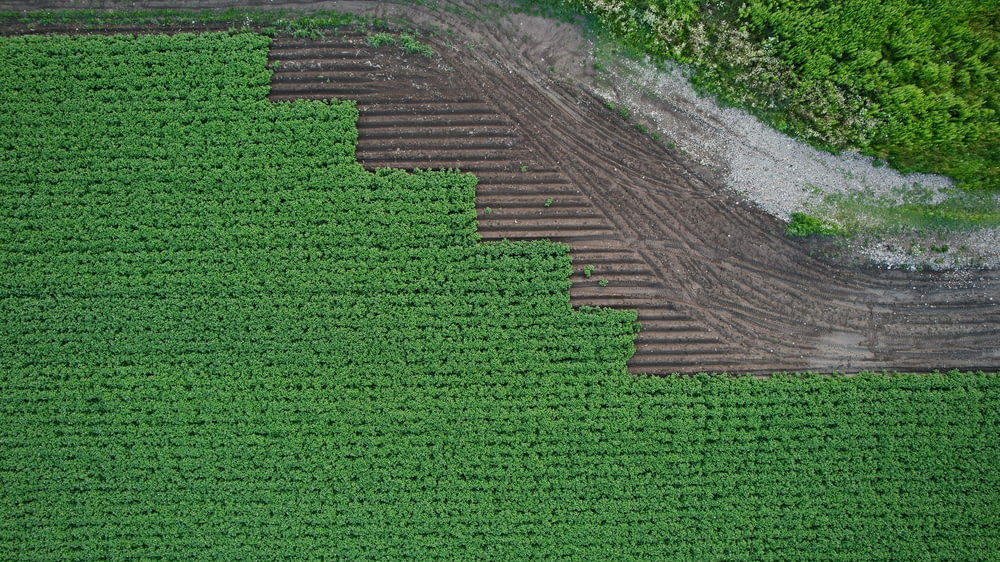 an aerial view of a farm field with rows of crops
