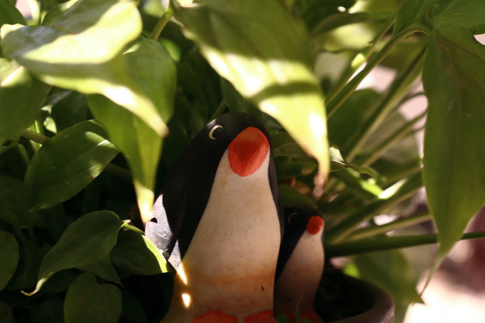 Ein Zwergpinguin sitzt in einer Topfpflanze