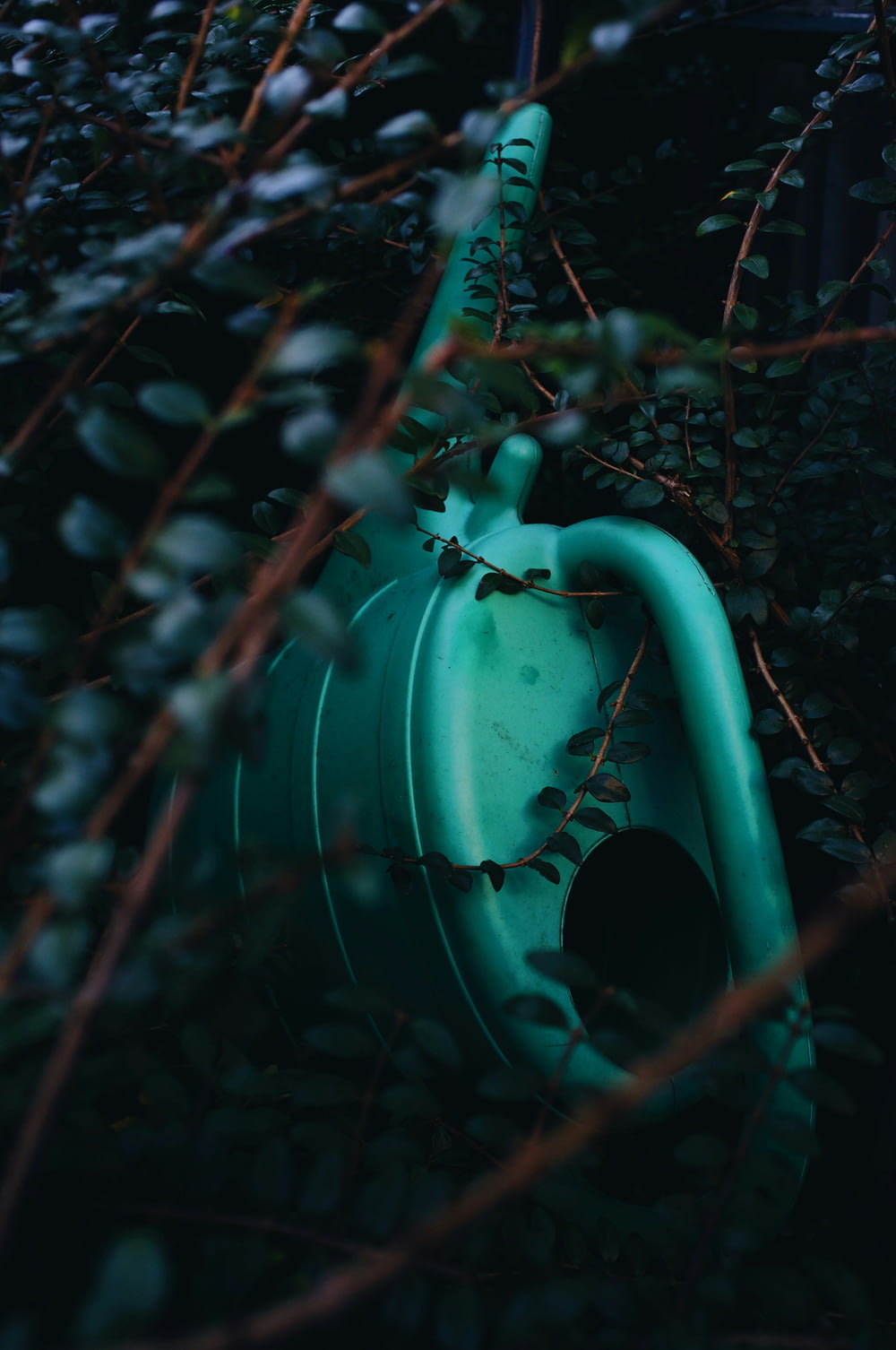 Una boca de incendios verde sentada en medio de un arbusto