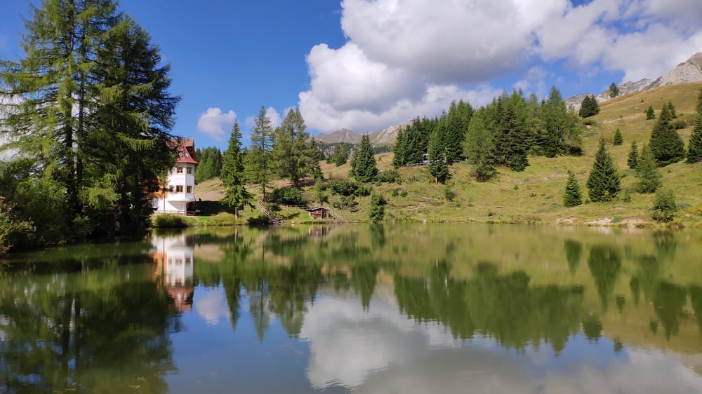 Un lago circondato da alberi con una casa sullo sfondo