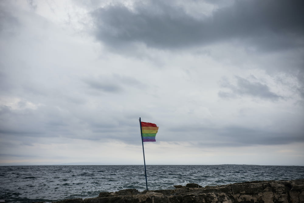 a rainbow flag sticking out of the rocks near the ocean
