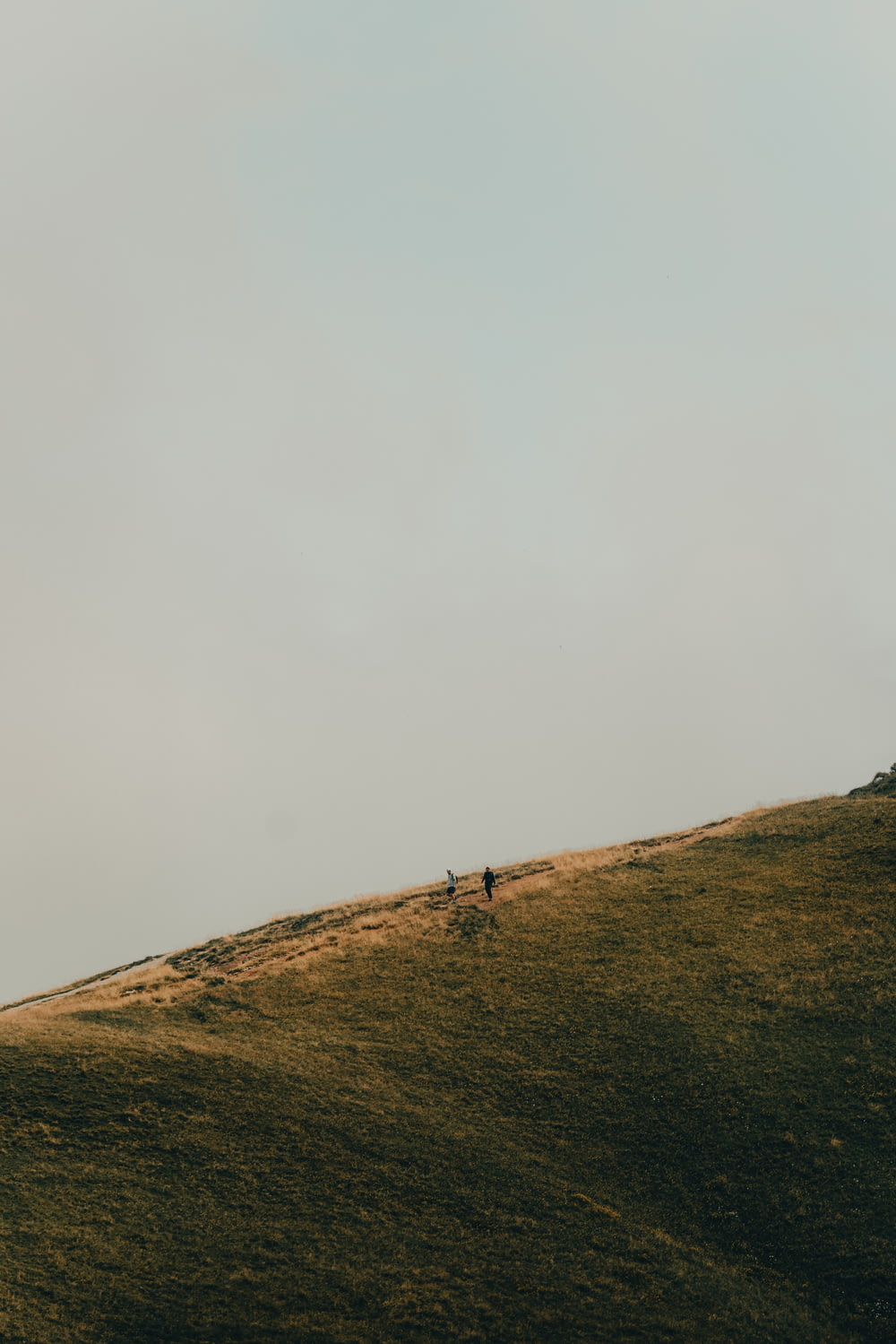 a person walking up a hill on a cloudy day