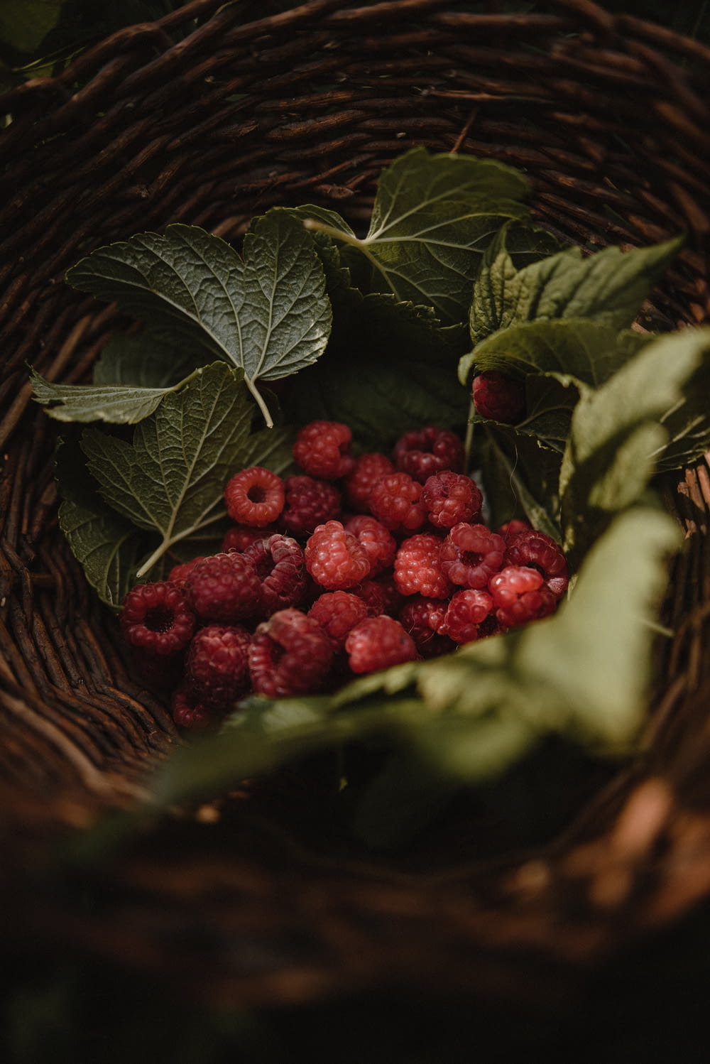 a wicker basket filled with raspberries and leaves