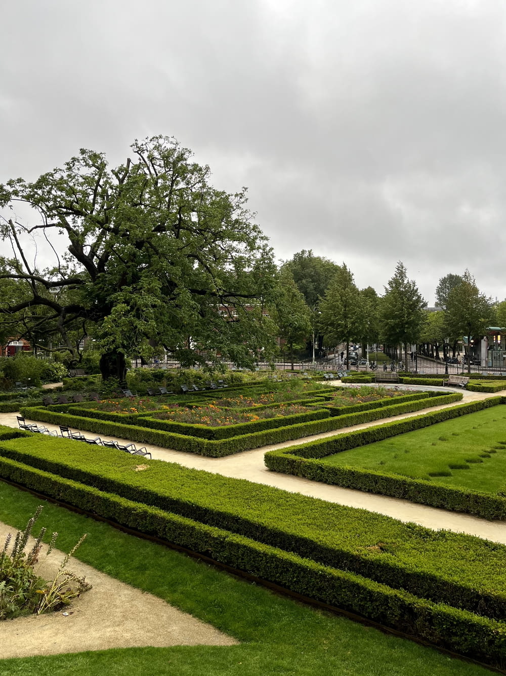 a large green garden with hedges and trees