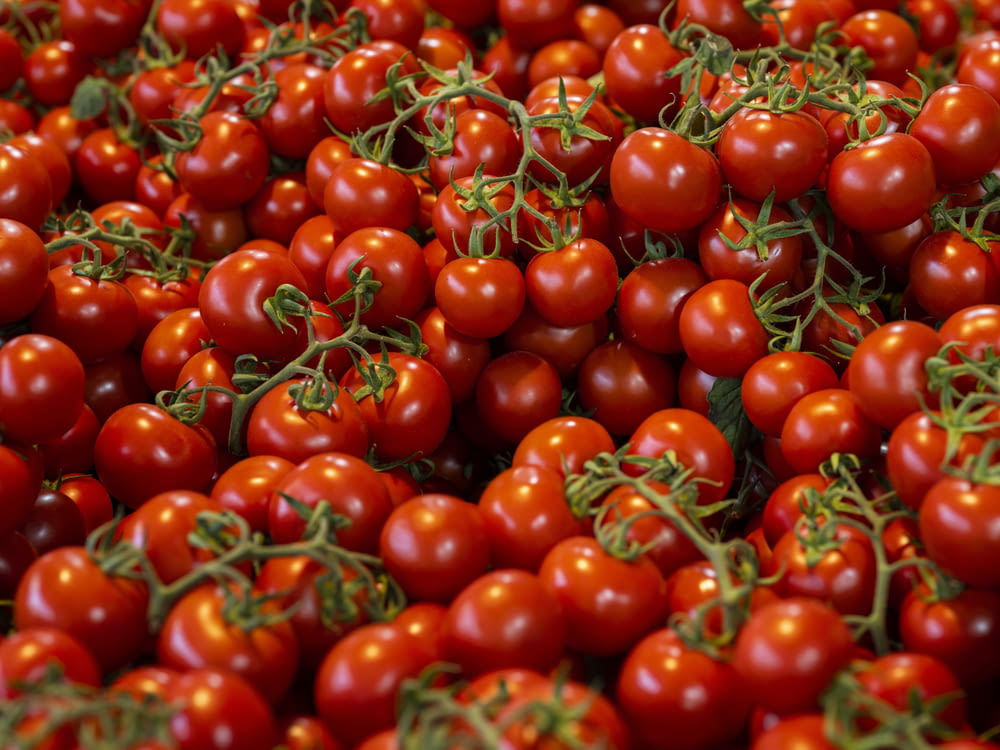 a pile of tomatoes with green stems on them