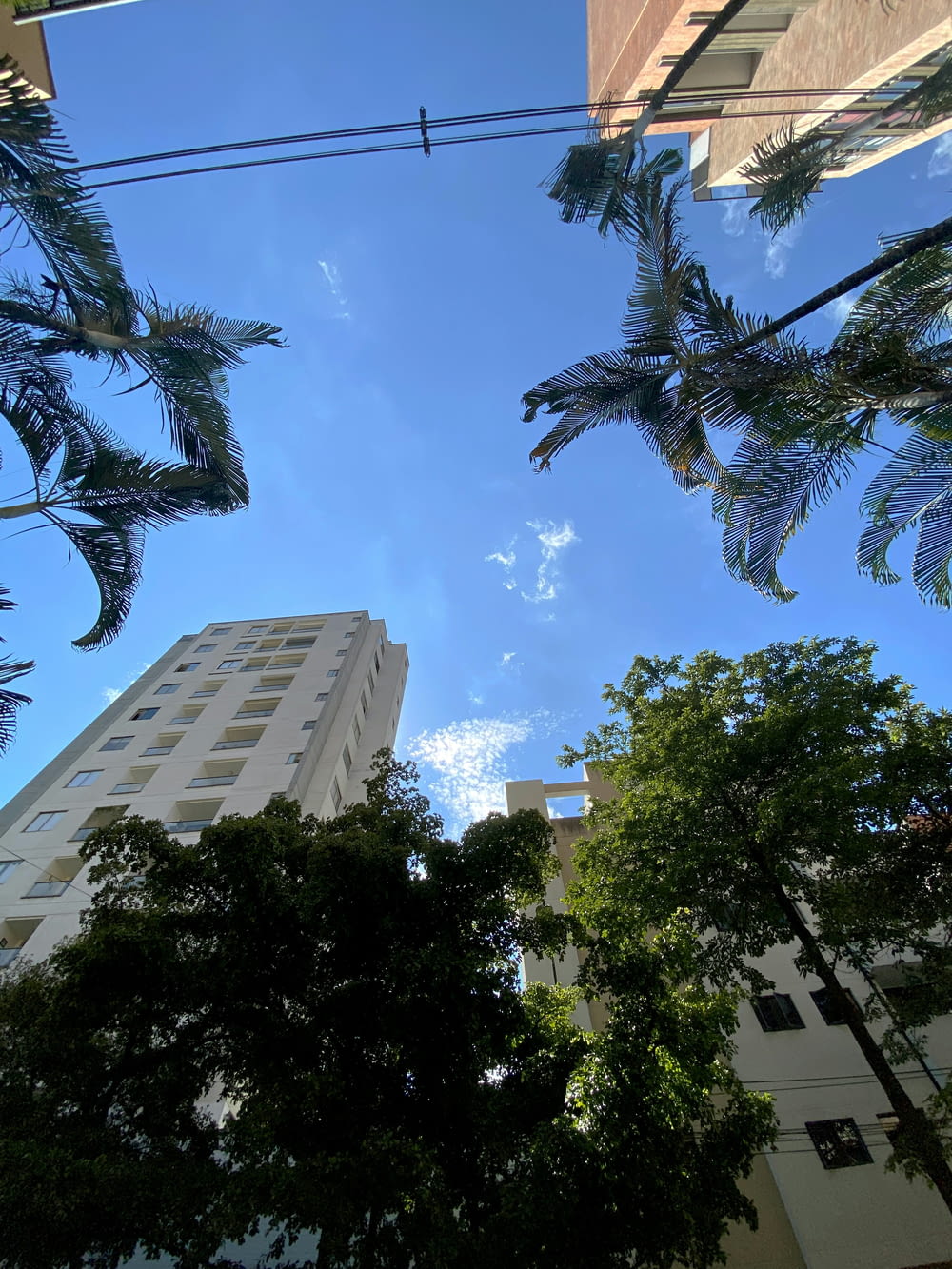 a tall white building sitting next to a lush green forest