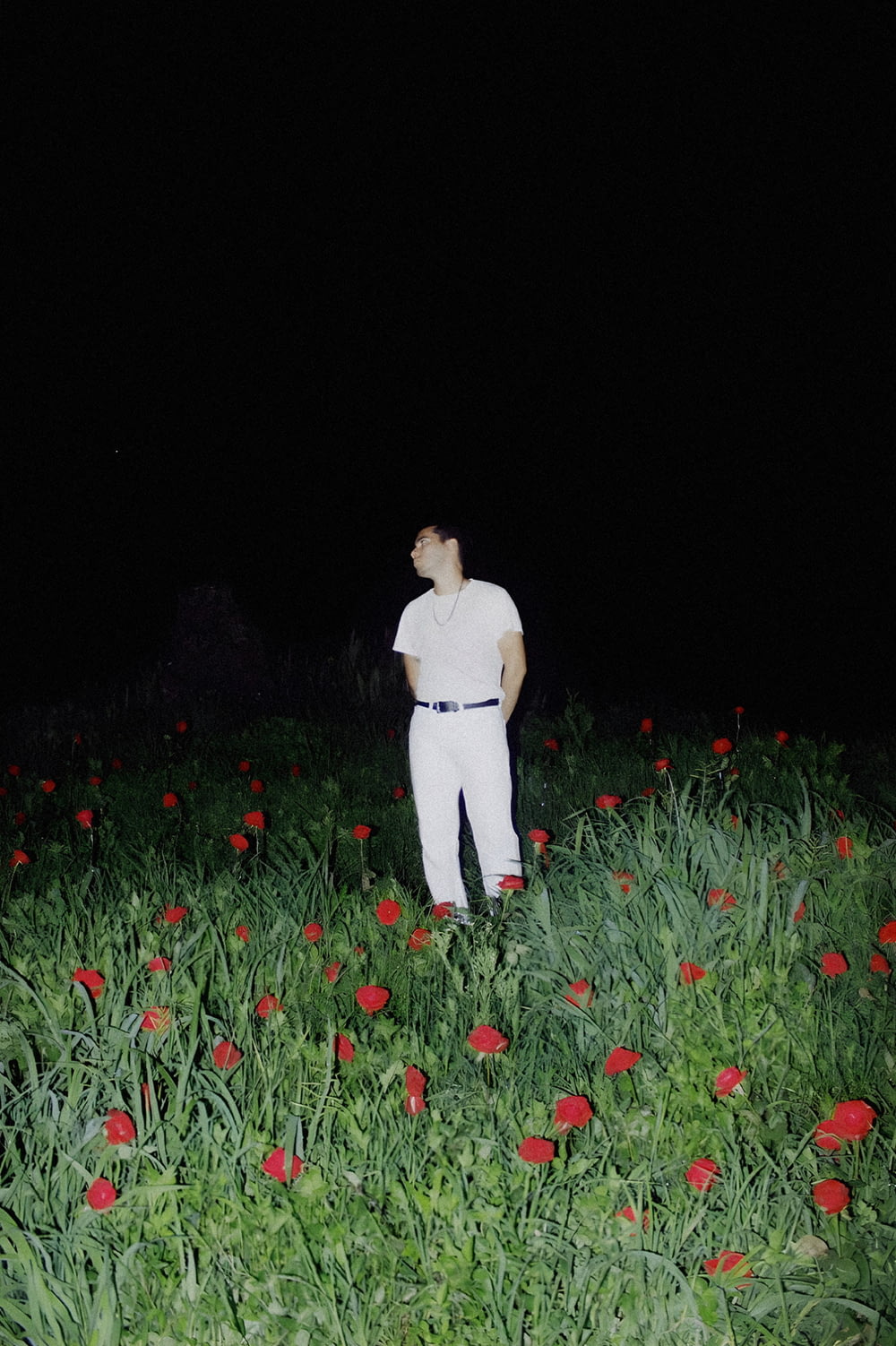 a man standing in a field of flowers at night