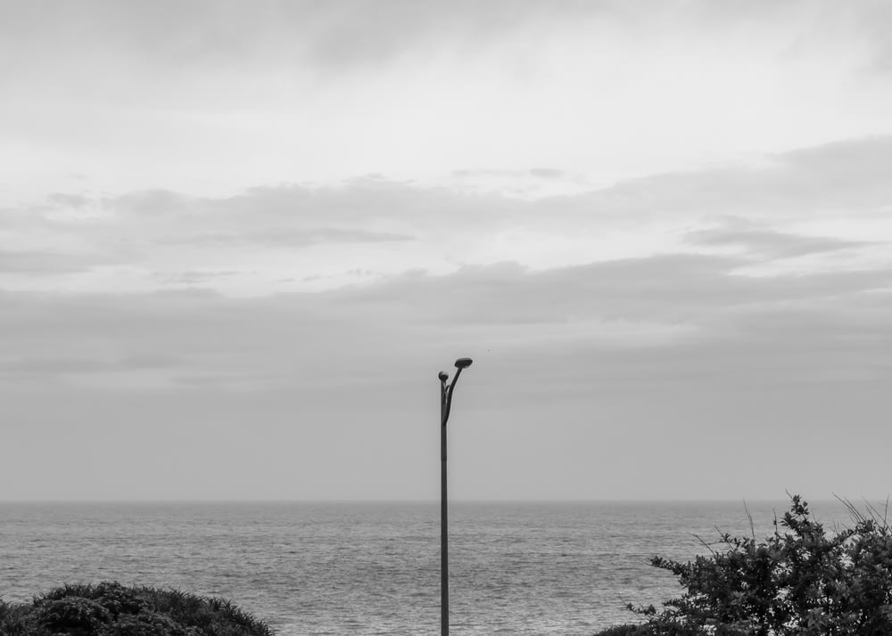 a black and white photo of a street light by the ocean