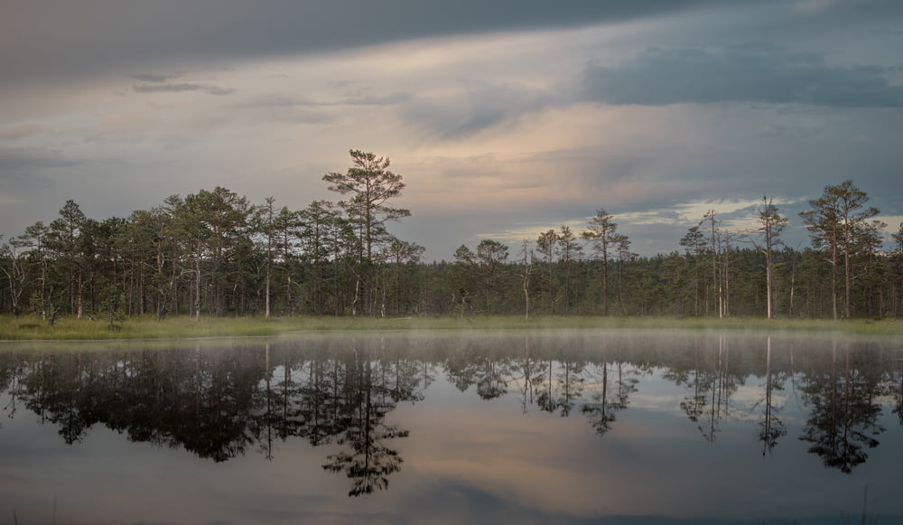 a body of water surrounded by trees under a cloudy sky