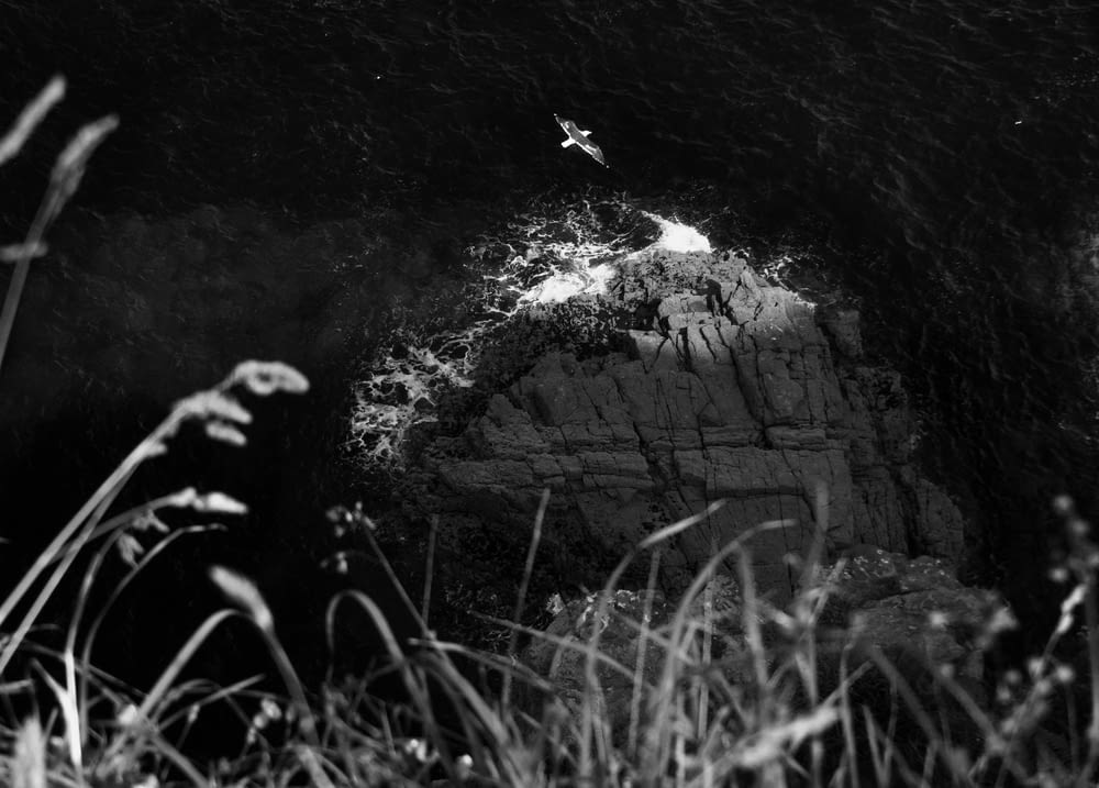 a black and white photo of a rock outcropping
