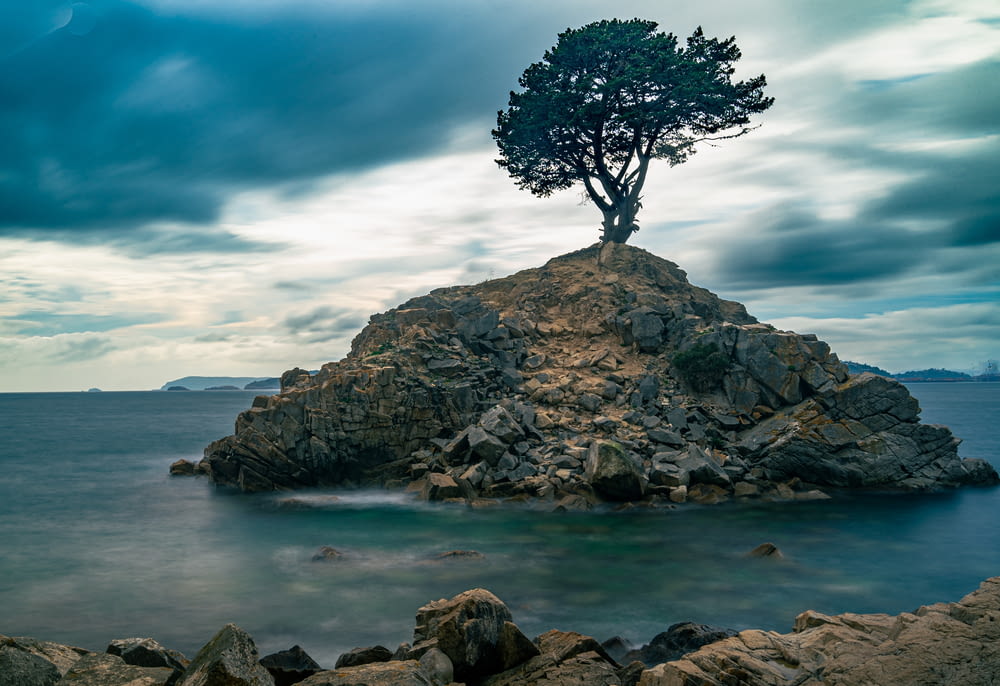 a lone tree sitting on top of a rock in the ocean