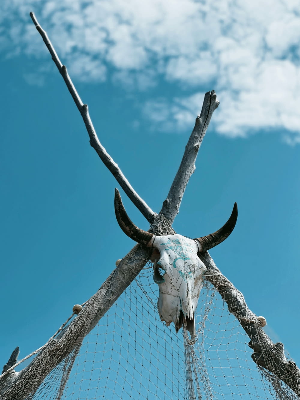 a bull's head is stuck in a net