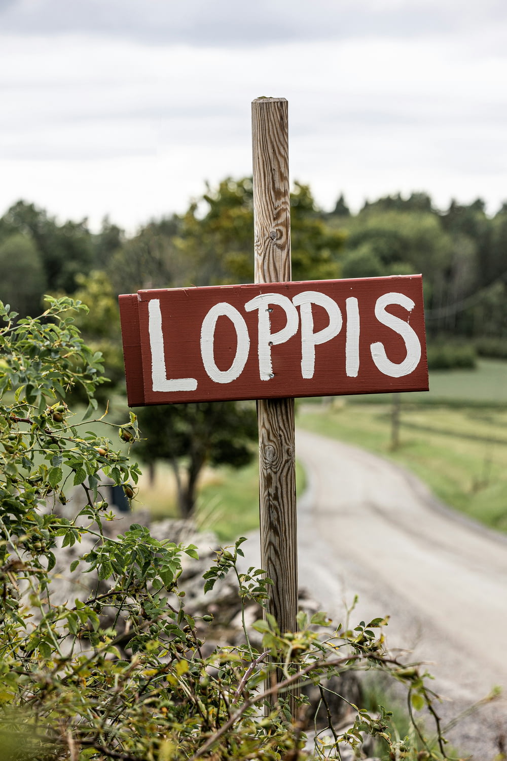 a wooden sign that says loppis on it