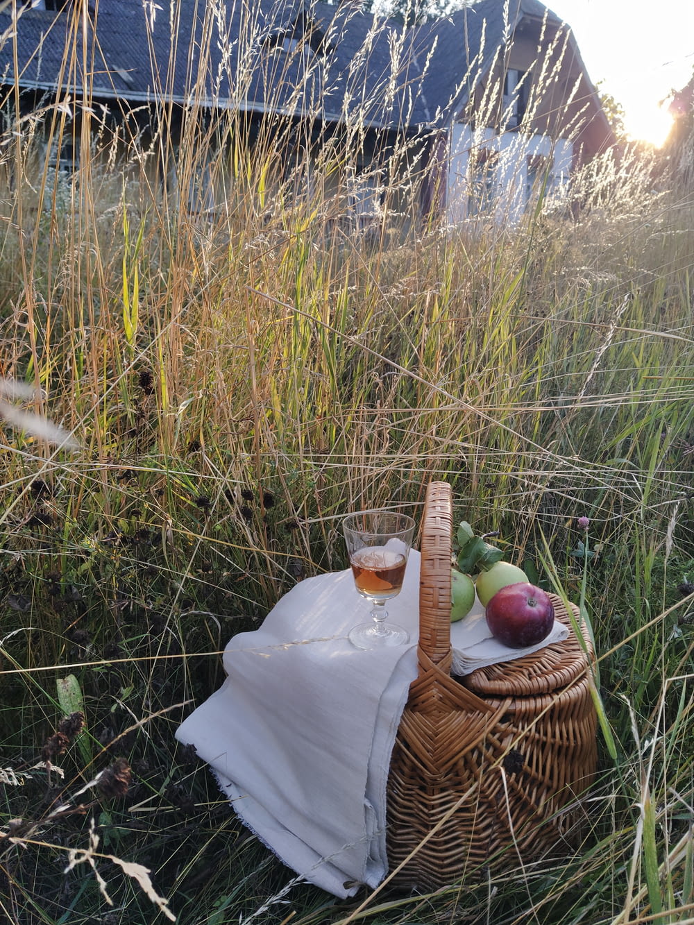 a basket of fruit and a glass of wine in a field