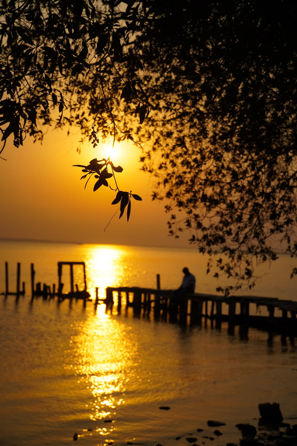a man sitting on a dock watching the sunset