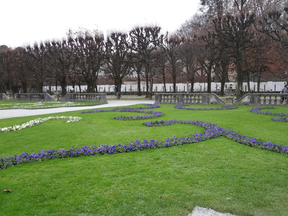a green lawn with blue flowers in the middle of it