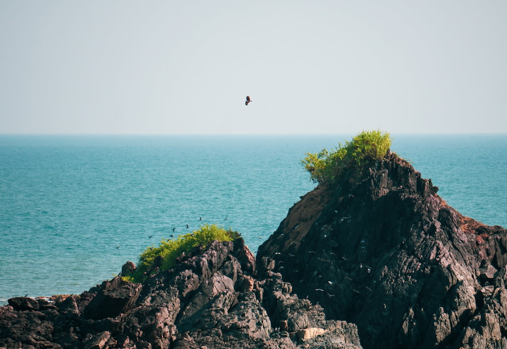 a bird flying over a rocky outcropping in the ocean