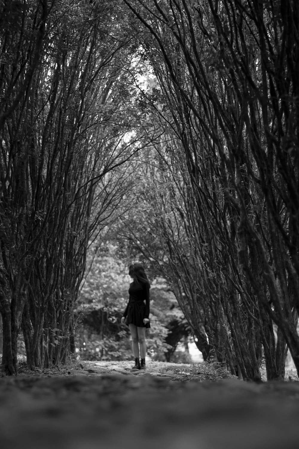 a woman walking through a forest of trees