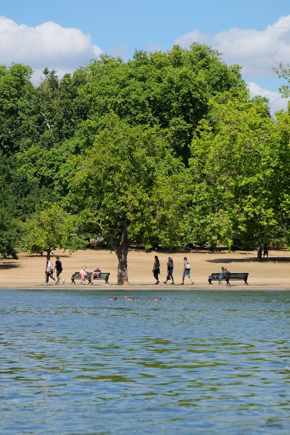 a group of people walking on a beach next to a lake