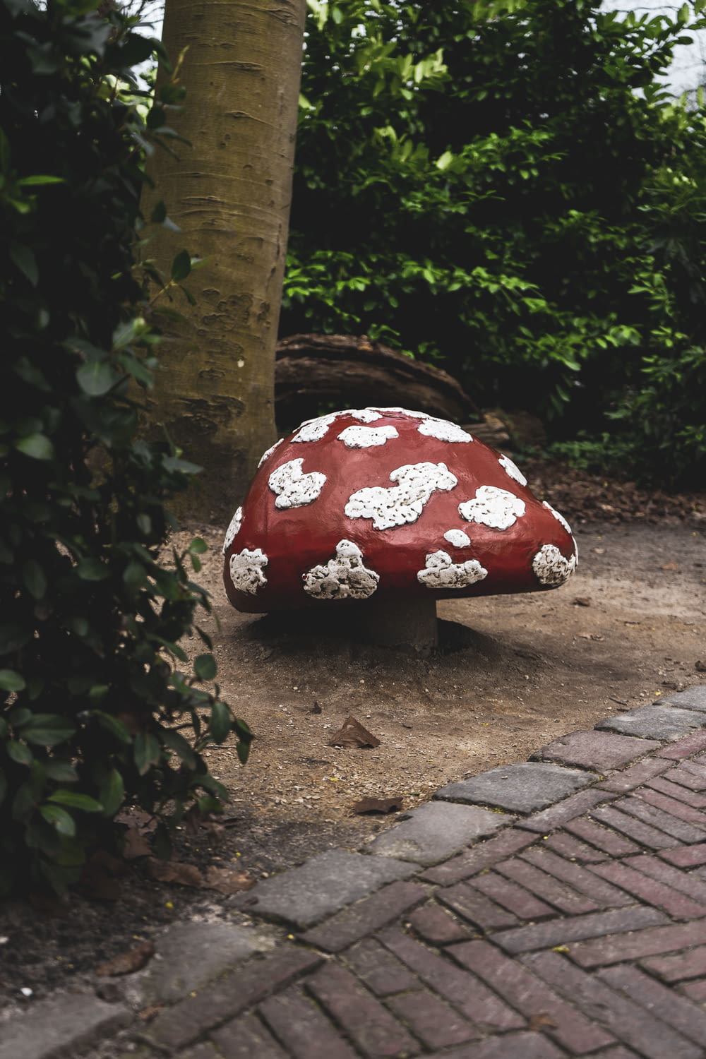 un fungo rosso e bianco seduto a terra accanto a un albero