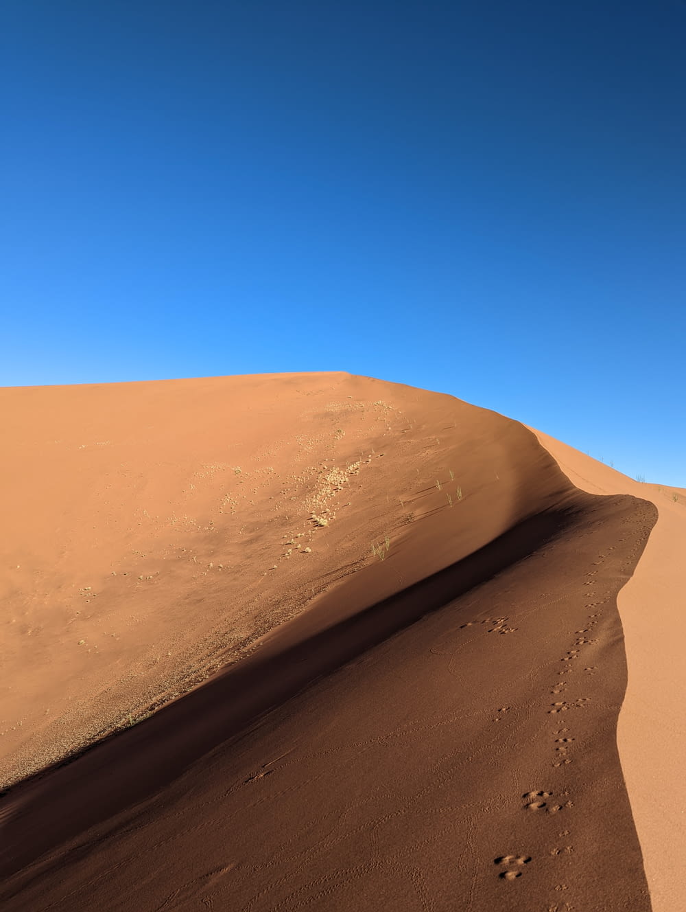 a large sand dune with footprints in the sand
