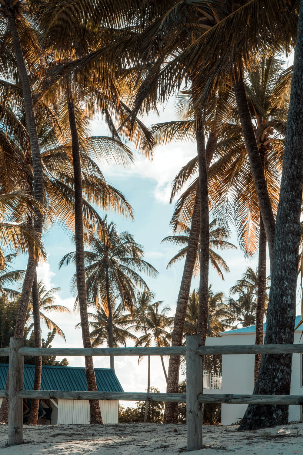 Un edificio bianco circondato da palme su una spiaggia