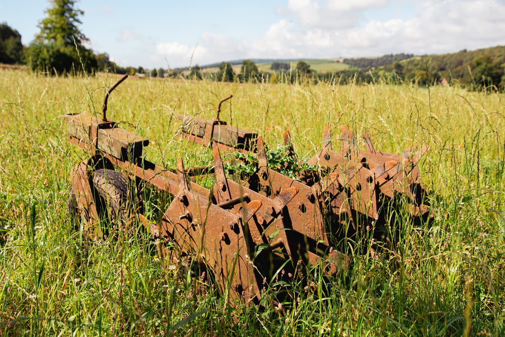 a rusted metal fence in a grassy field