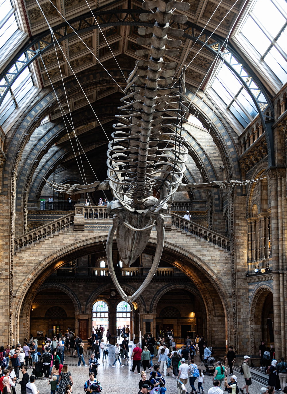a museum with a large skeleton hanging from the ceiling