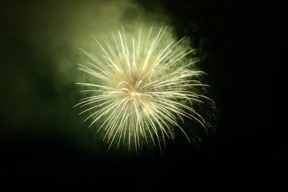 a green and white firework in the night sky