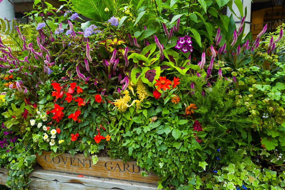 une boîte en bois remplie de nombreuses fleurs colorées
