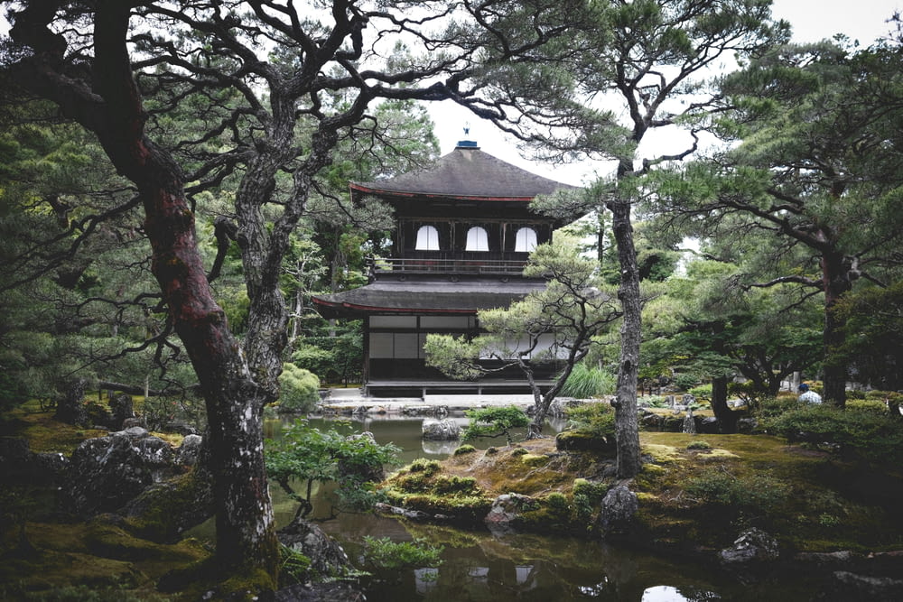 a pagoda in the middle of a forest