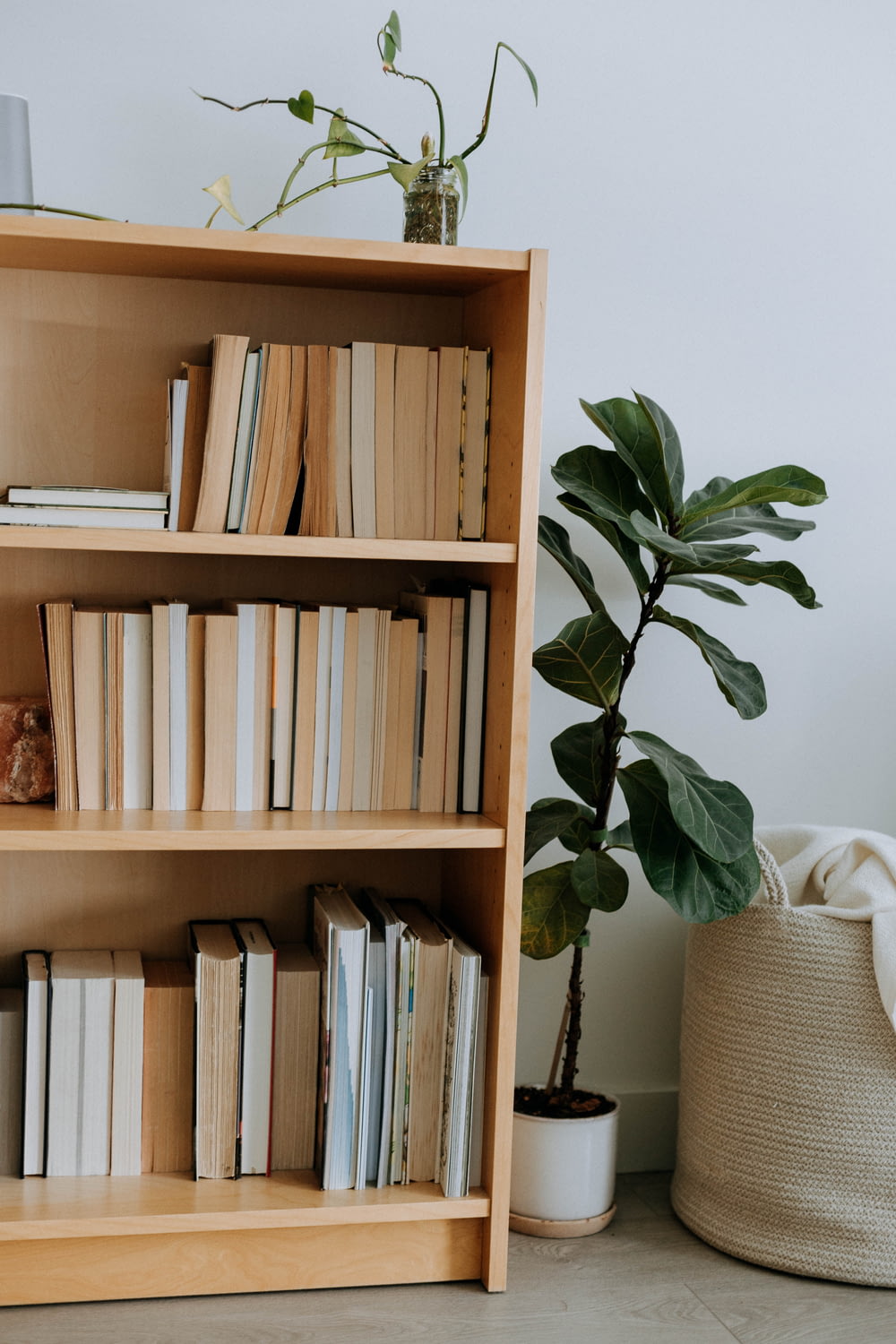 a bookshelf filled with lots of books next to a potted plant