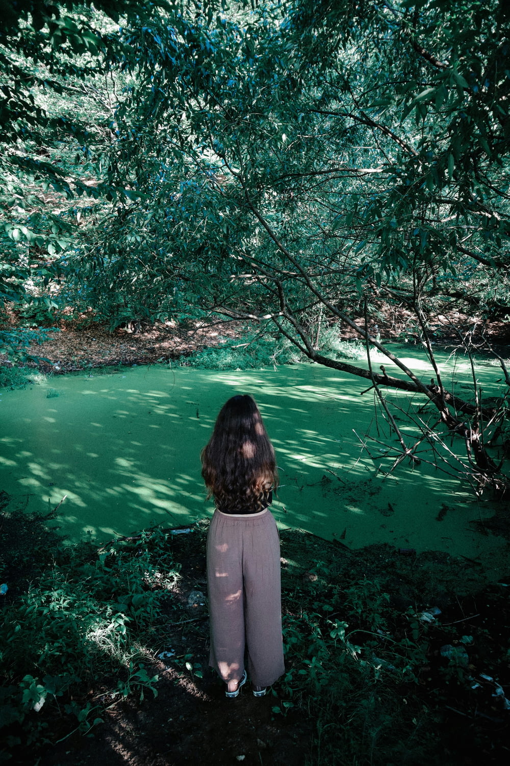 a woman sitting under a tree next to a body of water