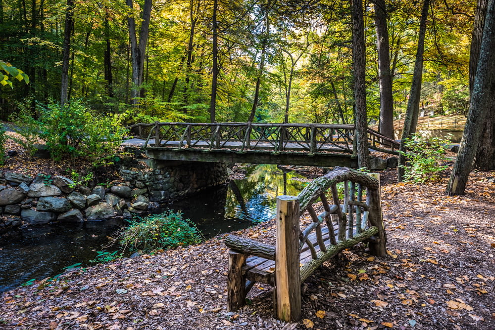 a wooden bench sitting next to a river