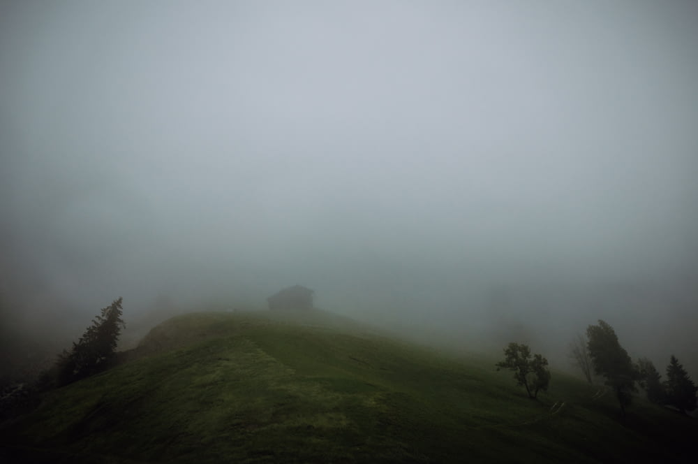 a hill covered in fog and trees on a foggy day