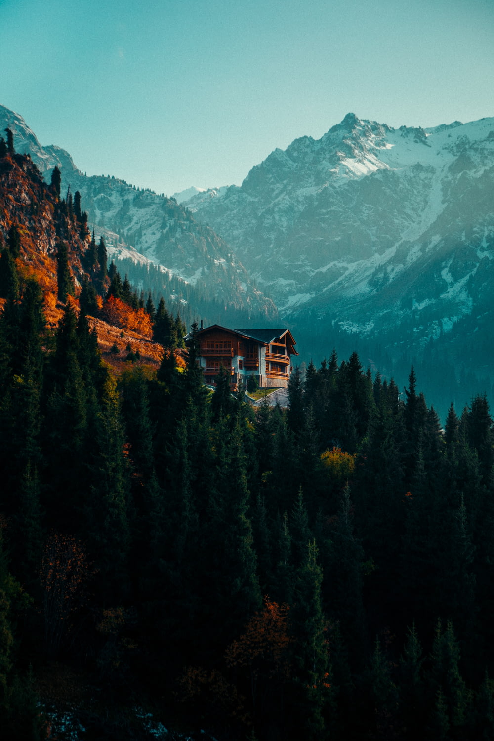 a house on top of a mountain surrounded by trees