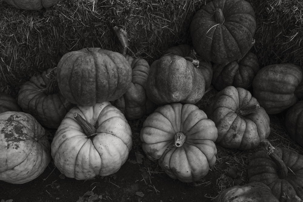 a black and white photo of pumpkins on the ground