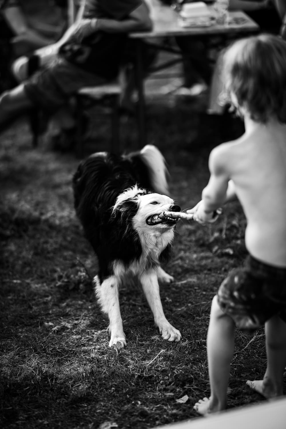 a little boy playing with a dog in a yard