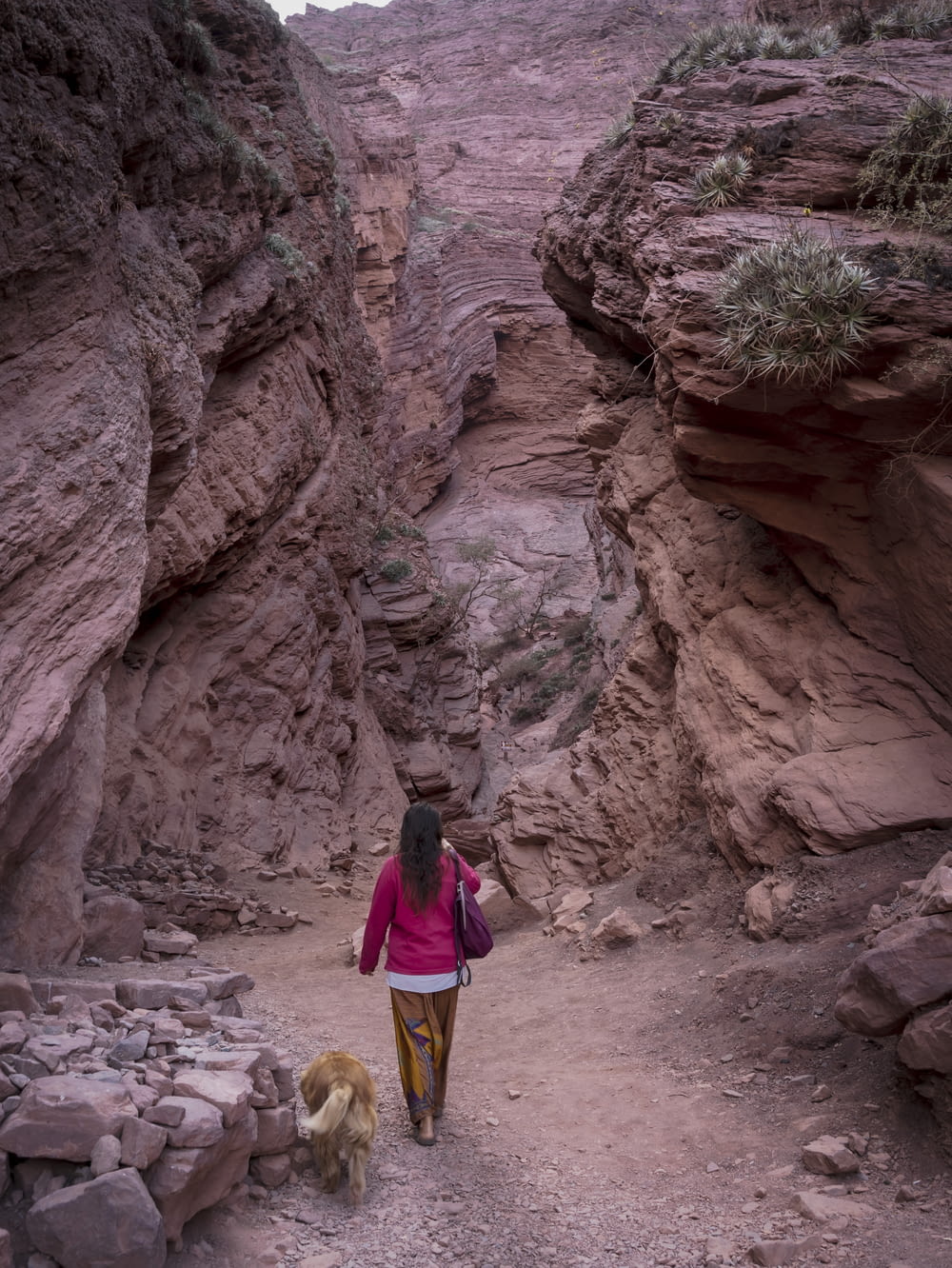 a woman walking down a dirt path next to a dog
