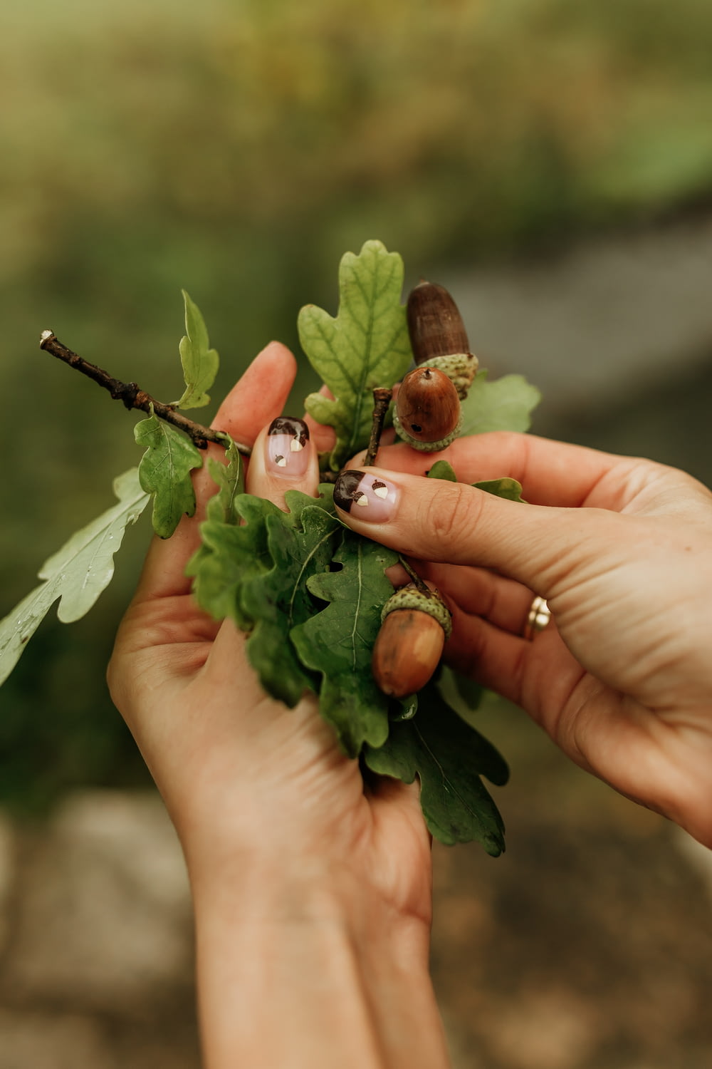 a person holding a leaf with a snail on it