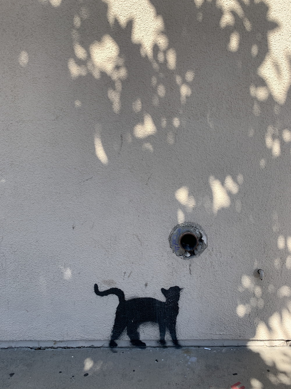 建物の側面にある猫の影