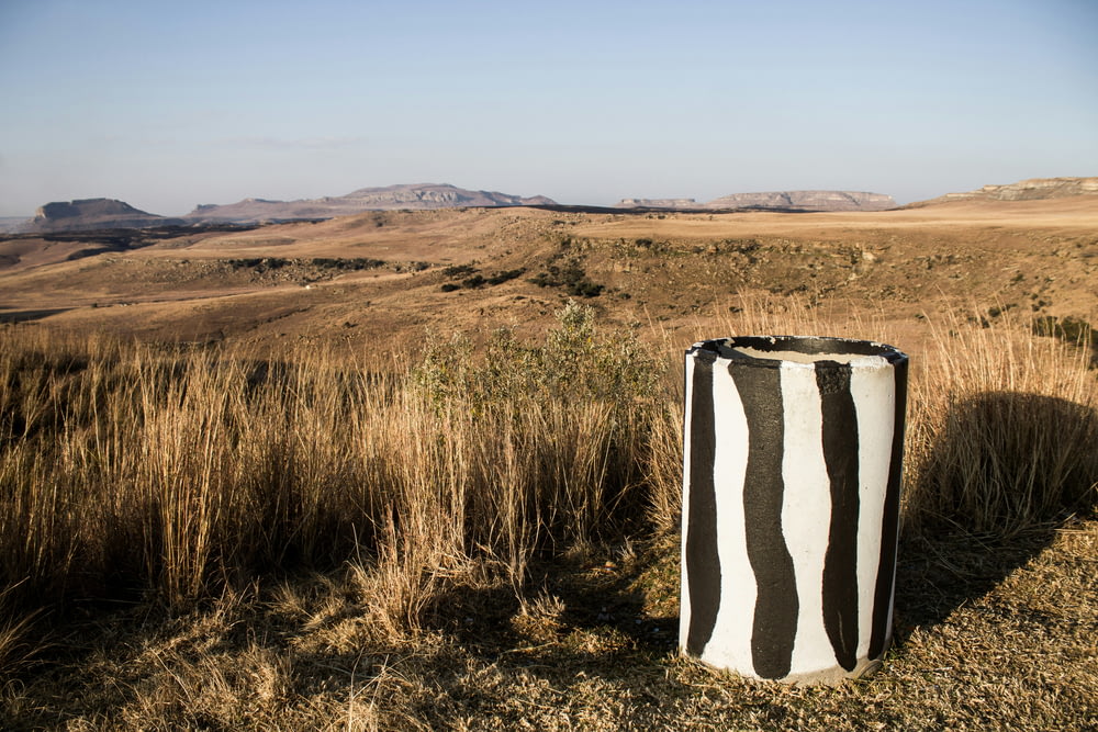 a black and white bag sitting in the middle of a field