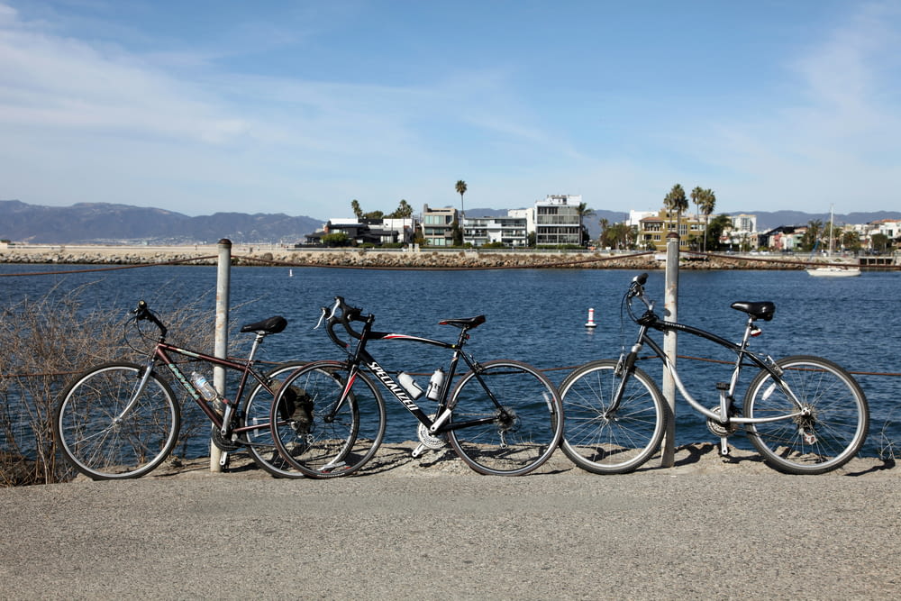 a row of bikes parked next to a body of water