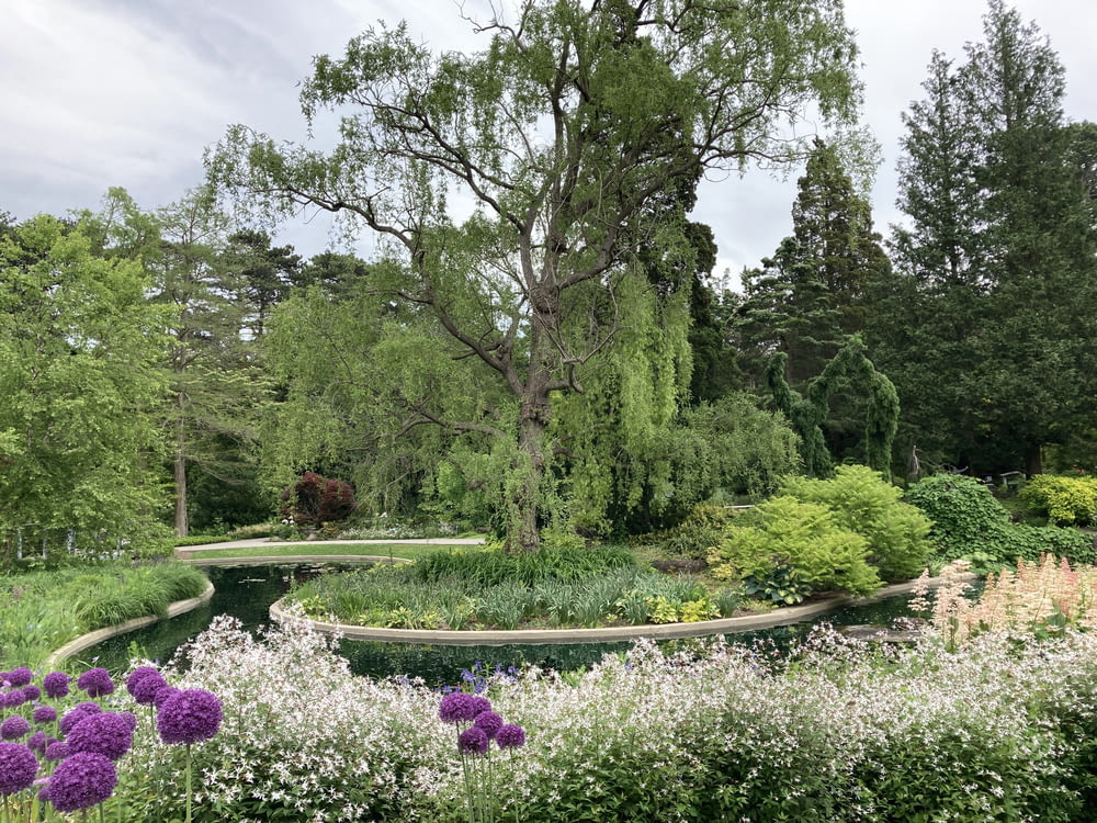 a garden with flowers and trees in the background