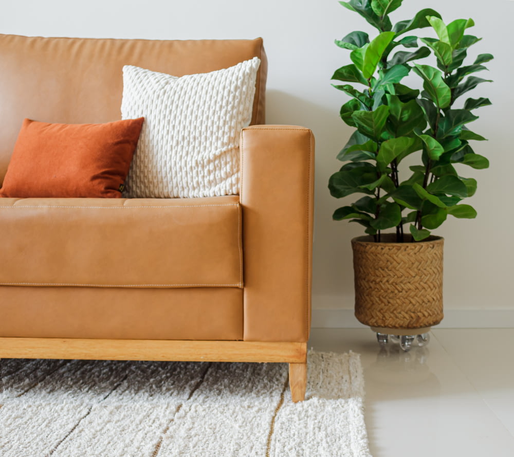 a brown leather couch sitting next to a potted plant